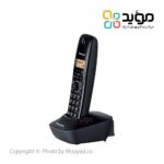 panasonic-kx-tg1611-01